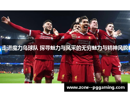 走进魔力鸟球队 探寻魅力与风采的无穷魅力与精神风貌